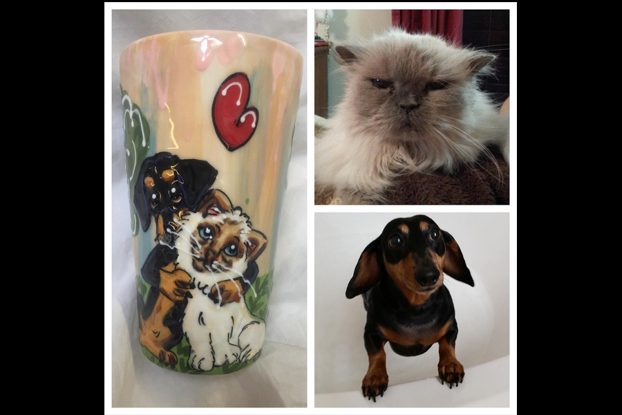Faux Paw Artique