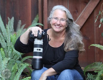 Mary Hurlbut