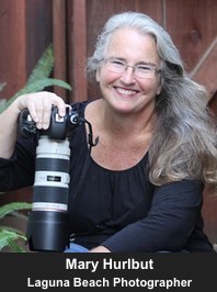 Mary Hurlbut