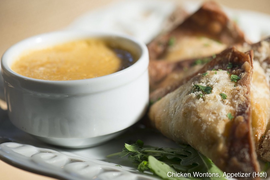 Nirvana Grille - Chicken Wontons, Appetizer (Hot)